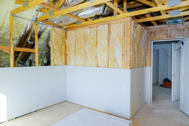 Best Geographic-Specific Insulation Services in Bithlo, FL