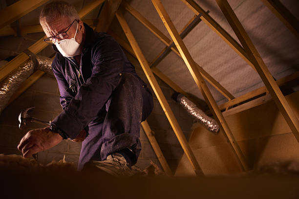 Best Cellulose Insulation in Bithlo, FL